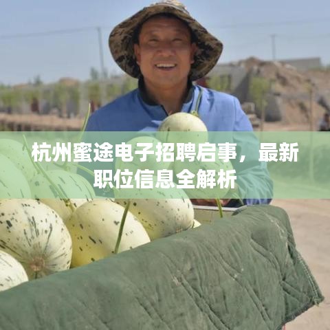 杭州蜜途电子招聘启事，最新职位信息全解析