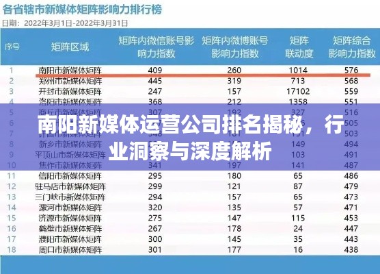 南阳新媒体运营公司排名揭秘，行业洞察与深度解析