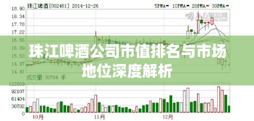 珠江啤酒公司市值排名与市场地位深度解析