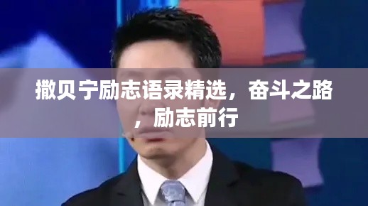 撒贝宁励志语录精选，奋斗之路，励志前行