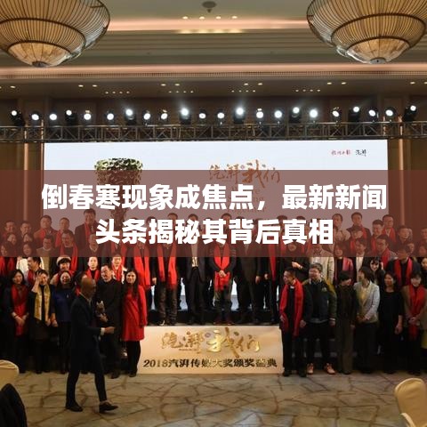 倒春寒现象成焦点，最新新闻头条揭秘其背后真相