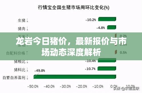 龙岩今日猪价，最新报价与市场动态深度解析