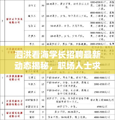 泗洪看海学长招聘最新动态揭秘，职场人士求职新选择！