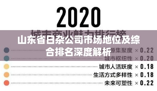 山东省日杂公司市场地位及综合排名深度解析
