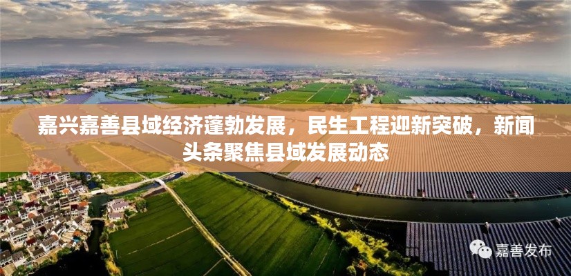 嘉兴嘉善县域经济蓬勃发展，民生工程迎新突破，新闻头条聚焦县域发展动态