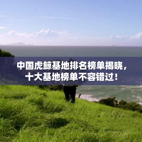 中国虎鲸基地排名榜单揭晓，十大基地榜单不容错过！