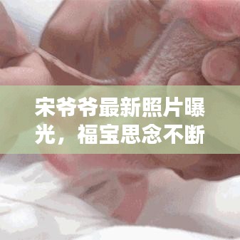 宋爷爷最新照片曝光，福宝思念不断