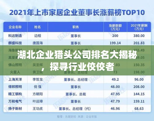 湖北企业猎头公司排名大揭秘，探寻行业佼佼者