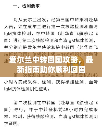 爱尔兰中转回国攻略，最新指南助你顺利回国