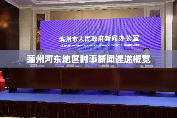 蒲州河东地区时事新闻速递概览