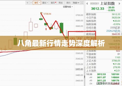 八角最新行情走势深度解析