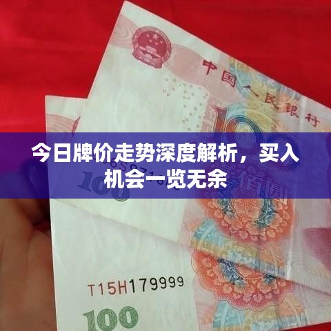 今日牌价走势深度解析，买入机会一览无余
