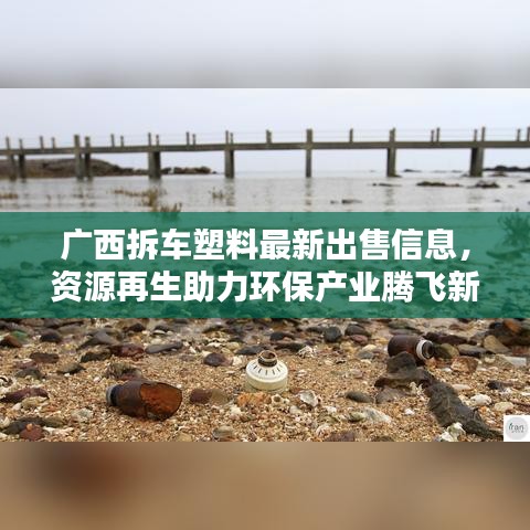 广西拆车塑料最新出售信息，资源再生助力环保产业腾飞新机遇