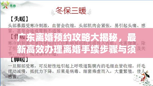 广东离婚预约攻略大揭秘，最新高效办理离婚手续步骤与须知