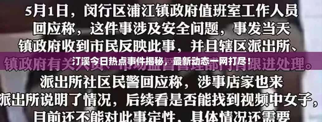 汀溪今日热点事件揭秘，最新动态一网打尽！