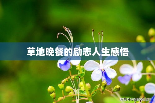 草地晚餐的励志人生感悟