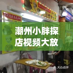 潮州小胖探店视频大放送，最新美食之旅一网打尽！