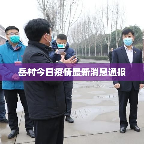 岳村今日疫情最新消息通报