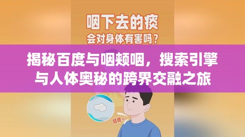 揭秘百度与咽颊咽，搜索引擎与人体奥秘的跨界交融之旅