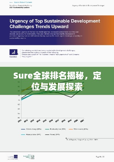 Sure全球排名揭秘，定位与发展探索