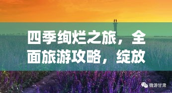 四季绚烂之旅，全面旅游攻略，绽放你的花朵心灵