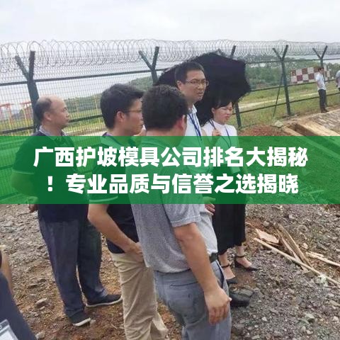 广西护坡模具公司排名大揭秘！专业品质与信誉之选揭晓