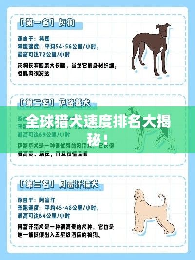 全球猎犬速度排名大揭秘！