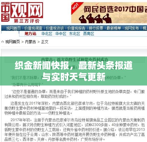 织金新闻快报，最新头条报道与实时天气更新