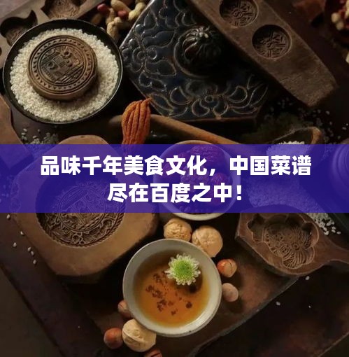 品味千年美食文化，中国菜谱尽在百度之中！