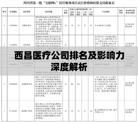 西昌医疗公司排名及影响力深度解析