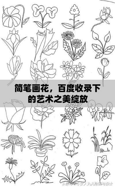 简笔画花，百度收录下的艺术之美绽放