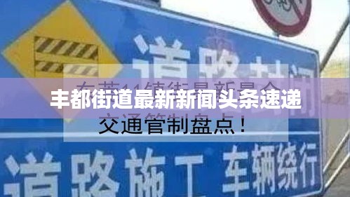 丰都街道最新新闻头条速递