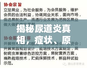 揭秘尿道炎真相，症状、原因与防治策略全解析