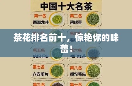 茶花排名前十，惊艳你的味蕾！
