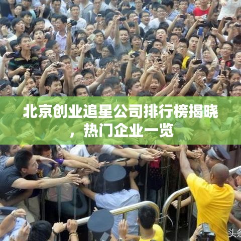 北京创业追星公司排行榜揭晓，热门企业一览