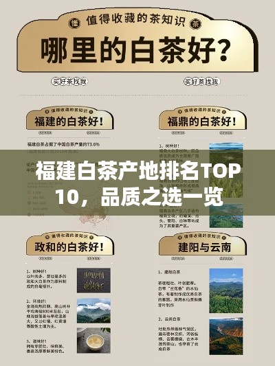 福建白茶产地排名TOP10，品质之选一览