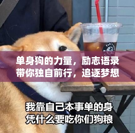 单身狗的力量，励志语录带你独自前行，追逐梦想