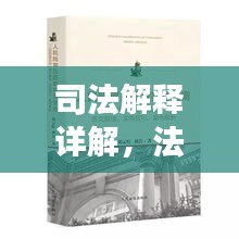 司法解释详解，法律术语与条文深度解读助你轻松理解法律世界