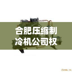 合肥压缩制冷机公司权威排行榜揭晓
