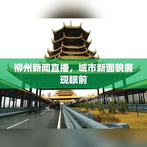 柳州新闻直播，城市新面貌展现眼前