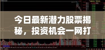 今日最新潜力股票揭秘，投资机会一网打尽