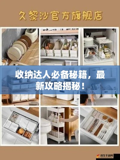 收纳达人必备秘籍，最新攻略揭秘！