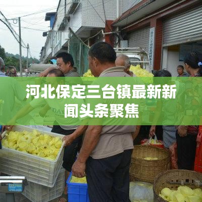河北保定三台镇最新新闻头条聚焦