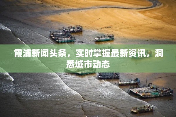霞浦新闻头条，实时掌握最新资讯，洞悉城市动态