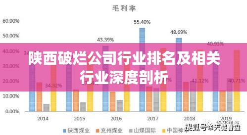 陕西破烂公司行业排名及相关行业深度剖析