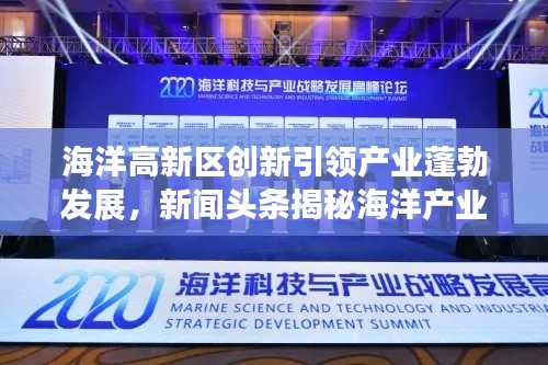 海洋高新区创新引领产业蓬勃发展，新闻头条揭秘海洋产业新动态