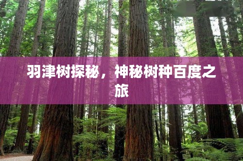 羽津树探秘，神秘树种百度之旅