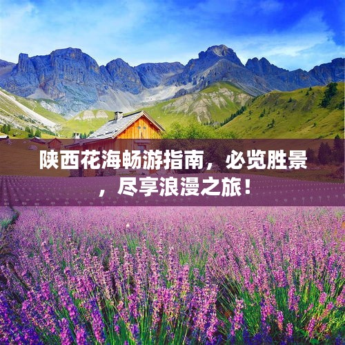 陕西花海畅游指南，必览胜景，尽享浪漫之旅！