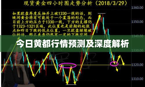 今日黄都行情预测及深度解析
