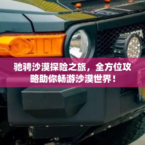 驰骋沙漠探险之旅，全方位攻略助你畅游沙漠世界！